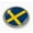 Semi-Flexible Aluminum Bezel, variant on Flag of Sweden | 3D Domed CAR Emblem Badge Sticker Flexible Round