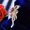 Gold-, variant on Brooch Pin Diamond Corsage Suit Pin G_tu-Silver-