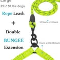 thumbnail image 2 of Dual Dog Leash, Double Dog Leash, 360 Swivel No Tangle Walking Leash, Shock Absorbing Bungee for Two Dogs, Large (25-150 lbs), 2 of 6