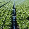thumbnail image 5 of 3/4 Inch Screen Irrigation Filter, Water Filtration Water Reservoir Tank Pool Pump, 5 of 5