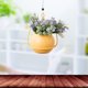 thumbnail image 4 of Jardinera colgante de riego automático, soporte para , s de diseño único para plantas de interior, Limon amarillo Baoblaze canasta de maceta colgante, 4 of 8