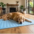 thumbnail image 6 of GASYLL Cooling Mat for Dogs,Ice Silk Washable & Portable Foldable Pad for Large & Small Dogs,Ideal for Car Seats & Travel(Blue, Small), 6 of 10