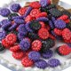 thumbnail image 1 of Herramienta para hornear galletas de fondant tridimensional con temática navideña con juego de sellos de émbolo, pan de jengibre para niño/niña, muñeco de nieve, Papá Noel, árbol de Navidad, reno,, 1 of 4