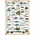 thumbnail image 1 of Sea Fish - 6000-0313, 1 of 2
