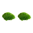thumbnail image 1 of Billuyoard Musgo de almohada verde, moño ecológico, musgo para una encantadora decoración verde natural, elegante para interiores o exteriores G2 verde natural0.2 2piezas, 1 of 6