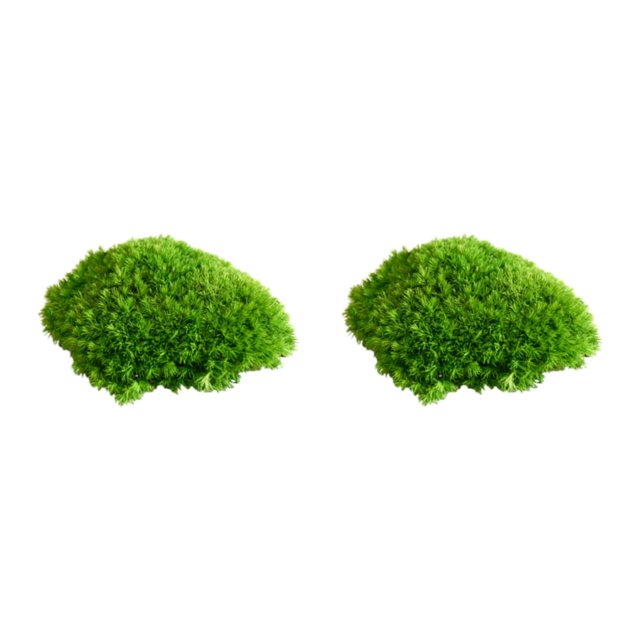 Billuyoard Musgo de almohada verde, moño ecológico, musgo para una encantadora decoración verde natural, elegante para interiores o exteriores G2 verde natural0.2 2piezas