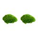 thumbnail image 1 of Naiovety Cojín de musgo para decoración interior o exterior elegante, musgo decorativo verde Natural, musgo de almohada G2 verde natural0.2 2piezas, 1 of 6