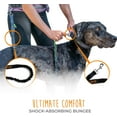 thumbnail image 4 of Mighty Paw Hands Free Dog Leash | Reflective Bungee for Running, Walking, Hiking, Jogging, Training, 4 of 9