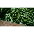 thumbnail image 4 of Provider Bush Green Bean Seeds for Planting, 30+ Heirloom Seeds Per Packet, (Isla's Garden Seeds), Non GMO Seeds, Botanical Name: Phaseolus vu aris, Great Home Garden Gift, 4 of 8