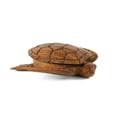 thumbnail image 4 of Wooden Handmade Turtle Bowl with Lid Kitchen Dining Decorative Centerpiece Hand Carved Decoration Handcrafted Wood Serving Tortoise Size: 12" long x 9.5" deep x 4" tall, 4 of 7