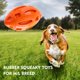 thumbnail image 2 of Juguetes duraderos para perros con chirridos para masticadores agresivos, pelota para razas medianas y grandes, juguetes de goma natural para mascotas, color rojo oso de fresa  Juguete, 2 of 6