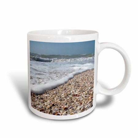 3dRose Seashells, Sanibel Island, Gulf Coast, Florida - US10 DFR0166 - David R. Frazier, Ceramic Mug, 15-ounce