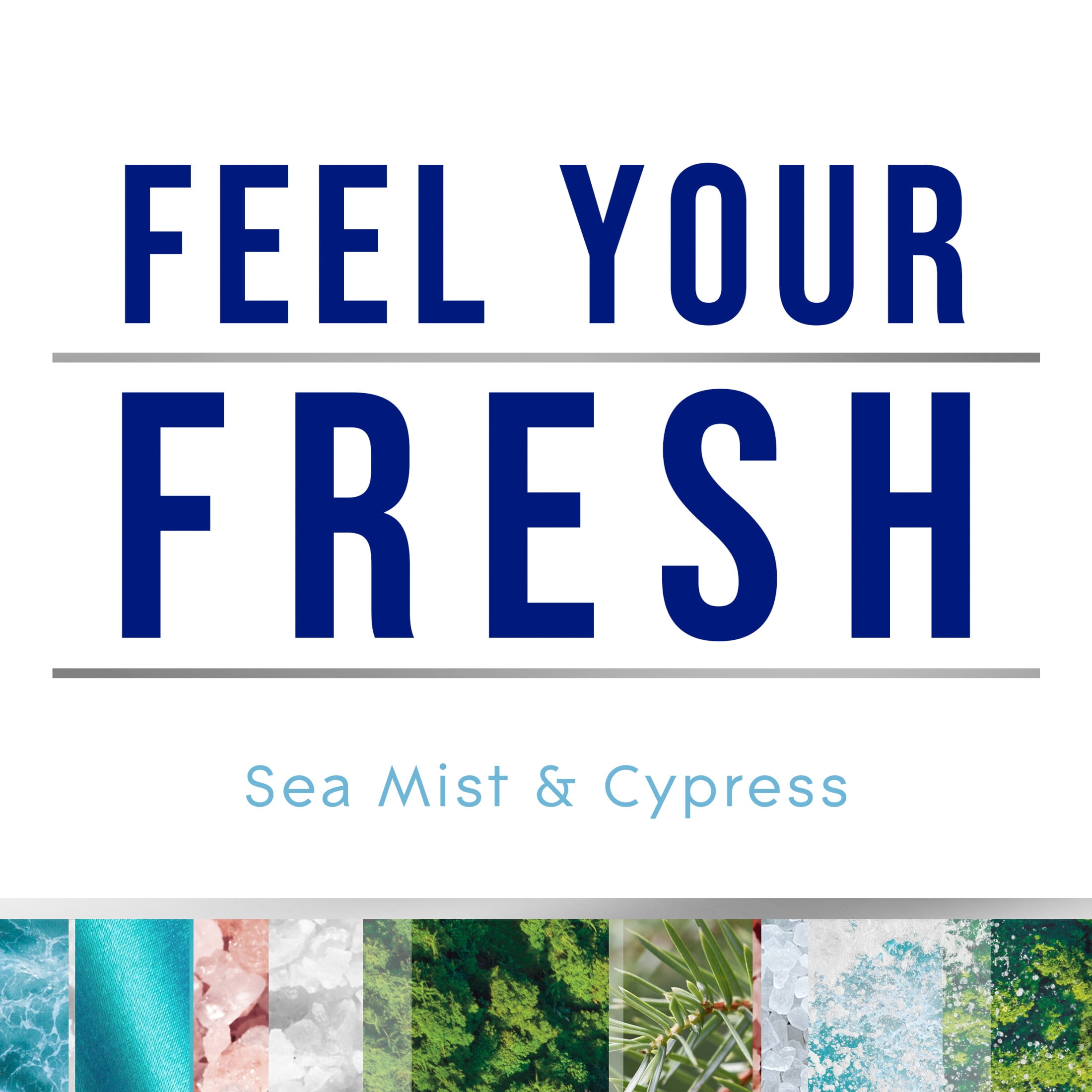 (3 pack) Glade Air Freshener Spray, Sea Mist & Cypress, Fresh Colle Countion, Fragrance Infused with Essential Oils, 100% Natural Propellent, 8 oz