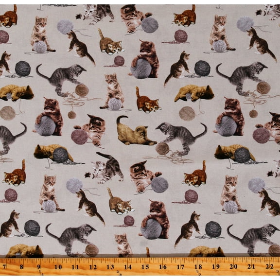 Cotton Cats Playing With Balls of Yarn Kittens Pets Felines Animals You Had Me At Meow Taupe Cotton Fabric Print by the Yard (CAT-CD2062-TAUPE)