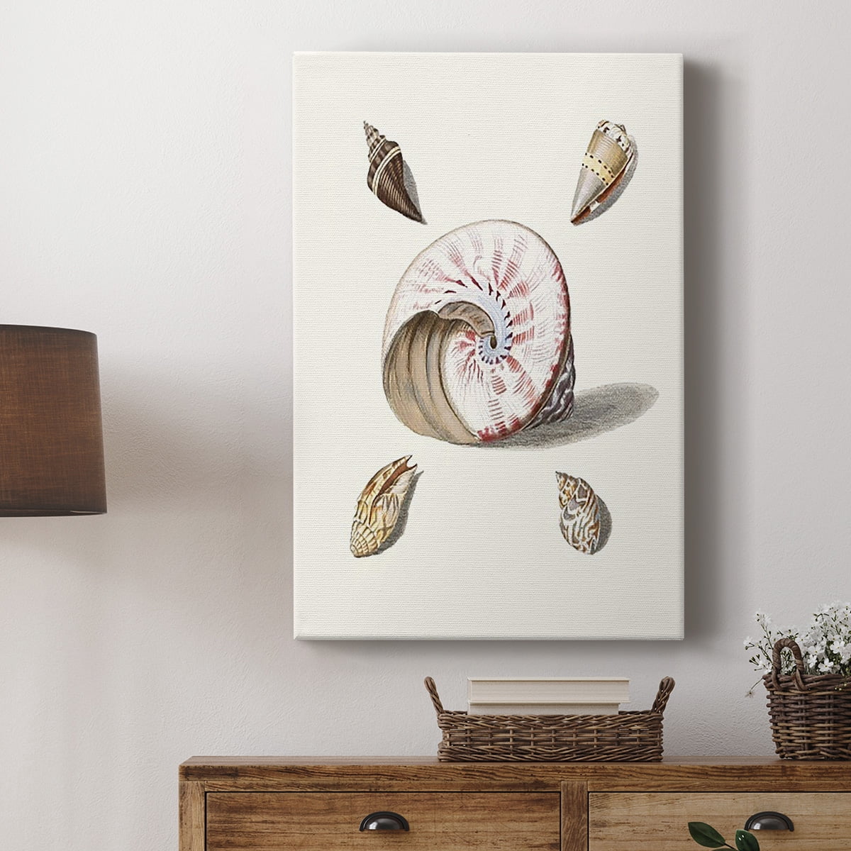 Pastel Knorr Shells II Premium Gallery Wrapped Canvas - Ready to Hang