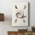 thumbnail image 5 of Pastel Knorr Shells II Premium Gallery Wrapped Canvas - Ready to Hang, 5 of 9