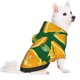 thumbnail image 2 of Fotbe Orange Sudadera con Estampado para Perros Pequeños – Suéter con Capucha para Mascotas, Tela Suave de Forro Polar con Bolsillo-X-Small, 2 of 7