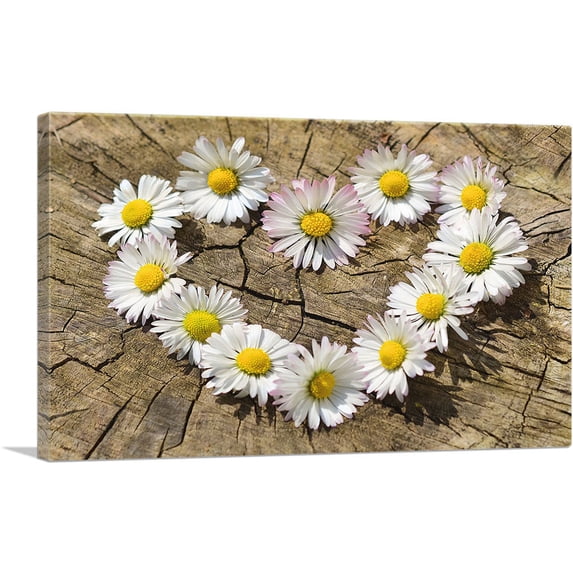 ARTCANVAS Daisy Heart Flower Home decor Canvas Art Print - Size: 60" x 40" (1.50" Deep) (3-Piece)