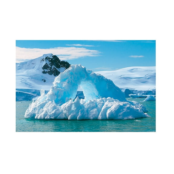 Wild Encounters Vbs Arctic Backdrop - Party Decor - 3 Pieces