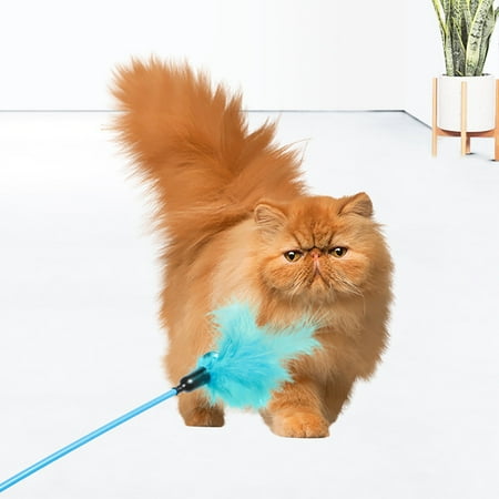 Chat Baton Jouet Faux Plume Petite Cloche Chat Teaser Jouet Chat Jouer Jouet Pour Chaton Walmart Canada Chat Baton Jouet Faux Plume Petite Cloche Chat Teaser Jouet Chat Jouer Jouet Pour Chaton Walmart Canada