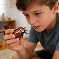 thumbnail image 6 of Iuhan Realistic InsectToys, Interactive Bug Models, Educational Plastic Insects For Biology Learning, Insect Collection For Play Decor Classroom Outdoor Use, InsectToysForKidsAdults, 6 of 7