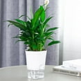 thumbnail image 4 of Transparent Self-Watering Plant Flower Plastic Pot Home Garden Decor, 4 of 8