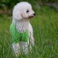 thumbnail image 6 of Farfi Pet Shirt Lapel Design Sweat-absorbent Solid Color Dog Two-legged T-shirt for Summer (Yellow,L), 6 of 13