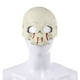 thumbnail image 5 of Xihbxyly Máscara de Calavera de No Muerto para Halloween, Aspecto Espeluznante y Siniestro, Textura de Esqueleto Realista, Accesorio Versátil para Cosplay, Eventos Espeluznantes, Tamaño 21 X 19 Cm, 5 of 7