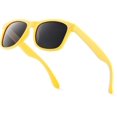 thumbnail image 1 of Retro Rewind classic Polarized Sunglasses,Yellow Smoke Polarized, 1 of 4