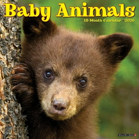 Baby Animals 2026 Wall Calendar, (Paperback)