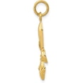 thumbnail image 2 of 14k Yellow Gold Hollow Fleur De Lis Charm - 30mm, 2 of 6