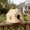 A, variant on Solid Wood Bird House Breeding Nest Box with Hinged Clean Roof, Hanging Wooden Bird Shelter for Budgies Finches Sparrows Chickadees, Cabin Style Bird Nest for Garden Balcony Outdoor Decor