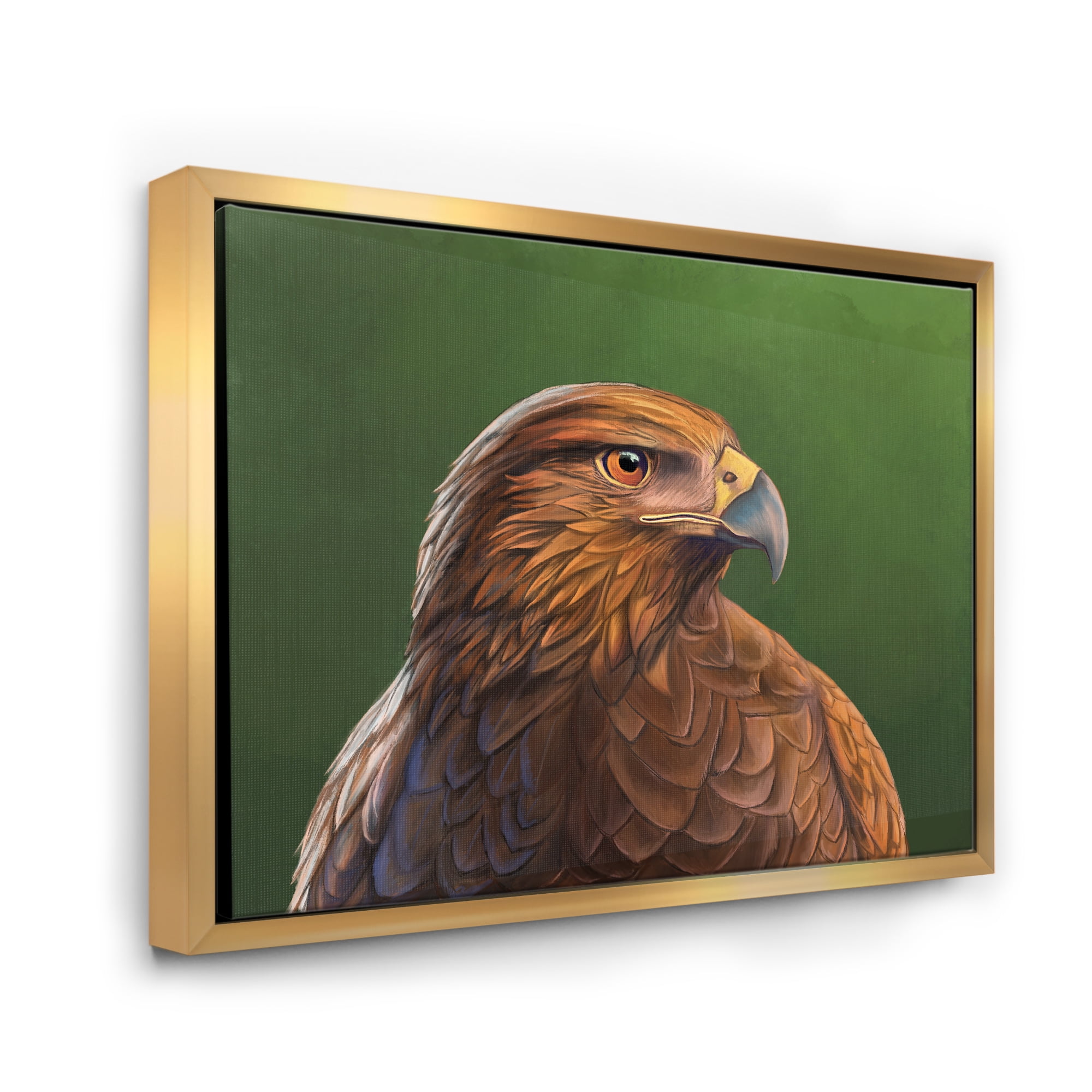 Designart 'Close UP Of Harris Hawk Bird' Traditional Framed Canvas Wall Art Print