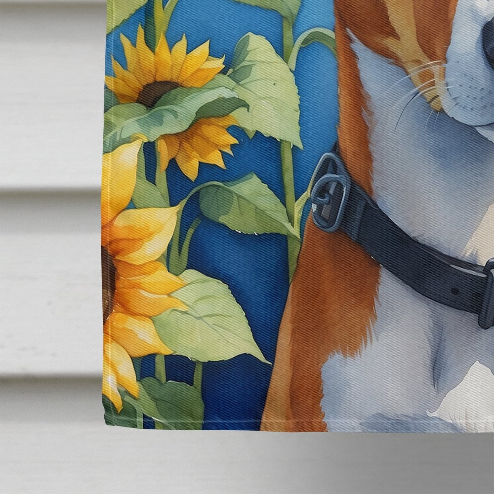 Caroline's Treasures DAC6016CHF Basenji in Sunflowers House Flag Large Porch Sleeve Pole Decorative Outside Yard Banner Artwork Wall Hanging, Polyester, House Size, Multicolor