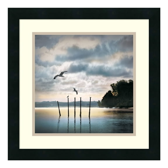 Amanti Art Dsw986793 18-1/4" X 18-1/4" "Circling Skies" Framed Art Print On Paper By