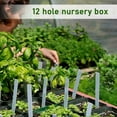 thumbnail image 2 of Nursery Box​ Black Plastic Tray Twelve Square Cells Rich Clear Dome Tag Stick Indoor Greenhouse Cultivate All Kinds Seedling Starter, 2 of 6