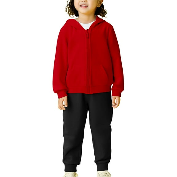KAUOD Toddler Zip up Hoodie Joggers Pants Sets 2pc Soft Cotton Fall Hooded Sweatshirts Sweatpants Fall Lightweight Outfits