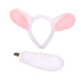 thumbnail image 2 of Runquan Animal Ears and Tail Set Cosplay Supplies for Role Playing Party Props Girls, 2 of 8