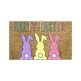 thumbnail image 1 of Décorations de Pâques Paillasson Lapin de Pâques Marron Noix de Coco Tapis de Porte d'Entrée Joyeux de Pâques Paillasson Adapté aux Entrées Intérieures et Extérieures Paillasson Œuf de Pâques Adapté, 1 of 8