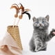 thumbnail image 5 of Juguete de gato mascota varita de gato dientes limpio juego juguete jinwen Juguetes de gato teaser, 5 of 8