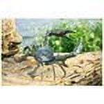Crab Verdigris Green Metal Garden Sculpture
