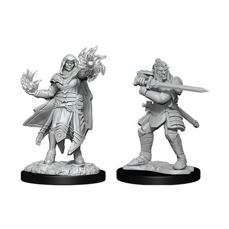 WizKids WZK90310 Dungeons & Dragons Nolzus Marvelous Unpainted - Hob Fighter M & Wizard F W15 Miniature Game - 2 Count