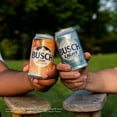 Busch Light Peach Domestic Beer 12 Pack 12 fl oz Aluminum Cans 4.1 ABV