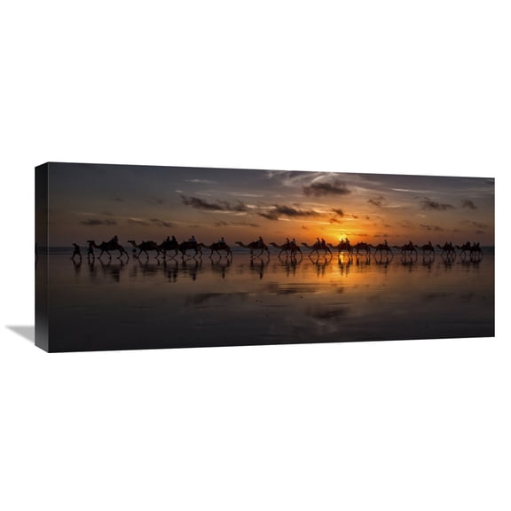 Global Gallery Louise Wolbers,'Sunset Camel Safari' Stretched Canvas Artwork