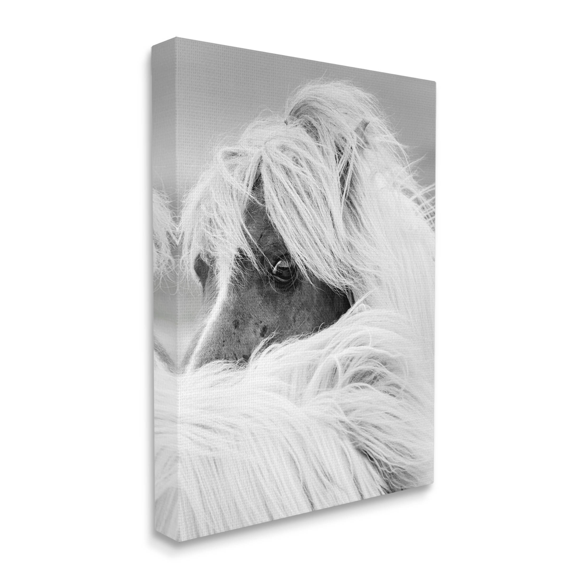 Horse Gazing Windblown Mane Animals & Insects Photograph Gallery Wrapped Canvas Print Wall Art