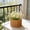 C, variant on YardChic Natural Handmade Tree Bucket Planter, Charming Rattan with Waterproof Lining, Small Wicker Basket with Handle for Wedding Flower Petals, Confetti, Candy, Gift, Storage & Home Decor