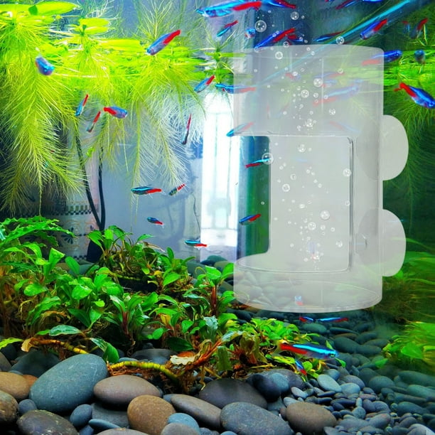 Tubo alimentador de peces con ventosa para acuario | Anillo de alimentación acrílico Diseño sin desorden | Control de porciones ajustable para peces dorados de camarones tortuga | Accesorio de