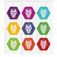thumbnail image 3 of Sugar Skull Shower Curtain, Colorful Hexagon Tiles with Silhouette Sugar Skull Figures Florally Ornamented, Fabric Bathroom Set with Hooks, 69W X 75L Inches Long, Multicolor, by Ambesonne, 3 of 3