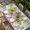 MediumPurple White LightGreen, variant on Blue Purple Gnomes Table Cloths for 3 Foot Rectangle Tables, Spring Country Hydrangea Flower Leaf Patio Waterproof Elastic Fitted Tablecloths, Washable Rectangular Table Cover for Camping