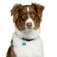 thumbnail image 5 of Nite-ize TL-11-2R3 Microlink 2 Pk Stainless Wire Gate Closure Pet Tag Carabiners, 5 of 5